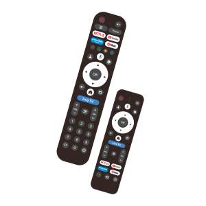 Graetz GR24G1300 Smart Tv 24" HD Con Due Telecomandi+Presa 12V per auto