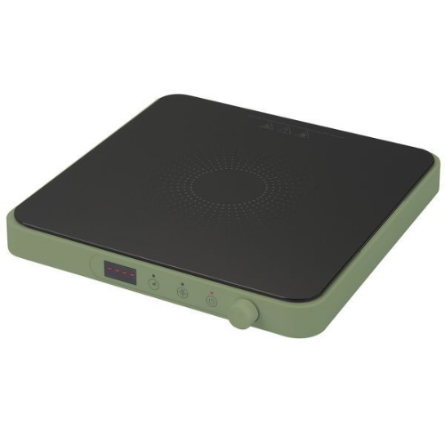 Tognana D2DPN01IRVE Fornello A Induzione 2000W 240° Max Verde Salvia
